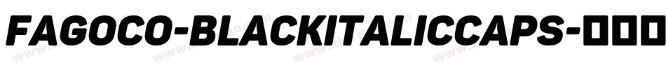 FagoCo-BlackItalicCaps字体转换 FagoCo-BlackItalicCaps字体转换