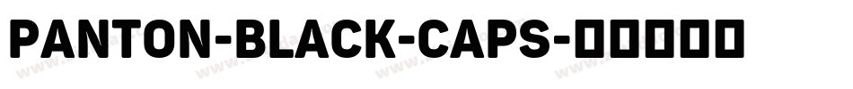 Panton-Black-Caps字体转换