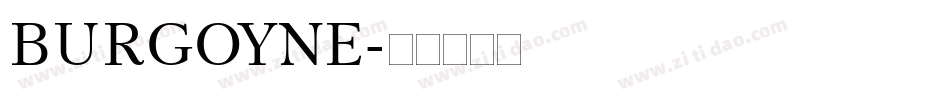 BURGOYNE字体转换