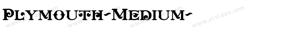 Plymouth-Medium字体转换