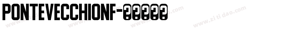 PonteVecchioNF字体转换