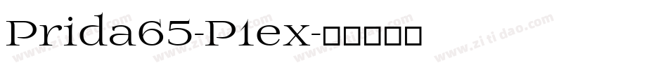 Prida65-P1ex字体转换