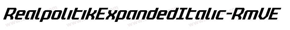 RealpolitikExpandedItalic-RmVE字体转换 RealpolitikExpandedItalic-RmVE字体转换