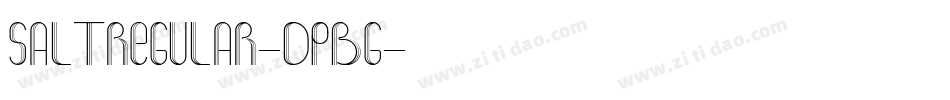 SaltRegular-dpBg字体转换