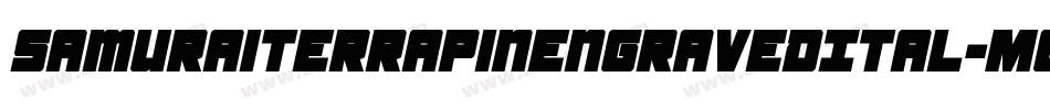 SamuraiTerrapinEngravedItal-Mgxr字体转换