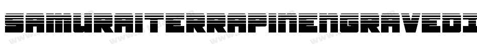 SamuraiTerrapinEngravedItal-Mgxr字体转换