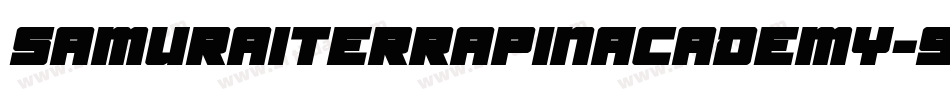 SamuraiTerrapinAcademy-9jVB字体转换