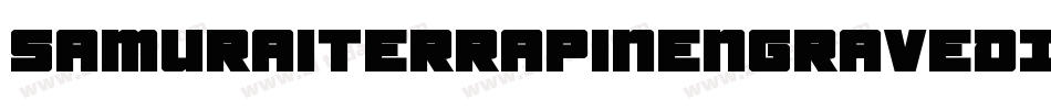 SamuraiTerrapinEngravedItal-Mgxr字体转换
