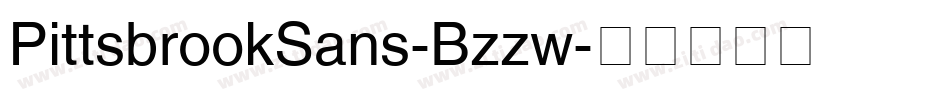 PittsbrookSans-Bzzw字体转换
