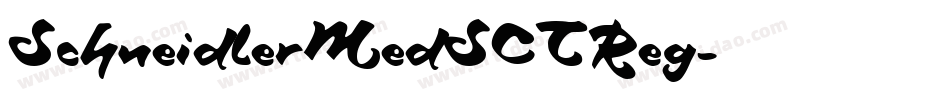 SchneidlerMedSCTReg字体转换