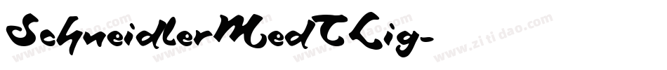 SchneidlerMedTLig字体转换