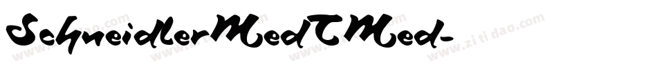 SchneidlerMedTMed字体转换