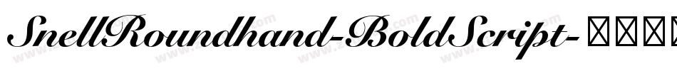 SnellRoundhand-BoldScript字体转换