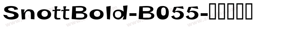SnottBold-B055字体转换