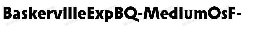 BaskervilleExpBQ-MediumOsF字体转换