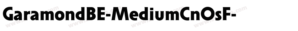 GaramondBE-MediumCnOsF字体转换