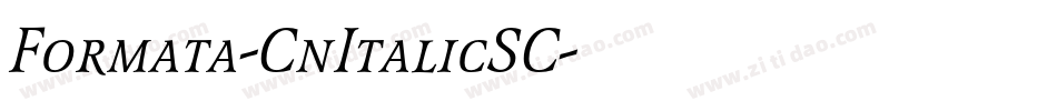 Formata-CnItalicSC字体转换