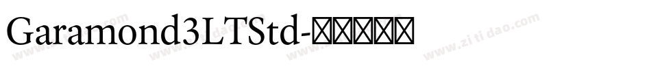 Garamond3LTStd字体转换