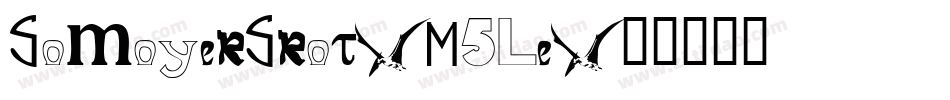 SomoyerSrot-M5Le字体转换