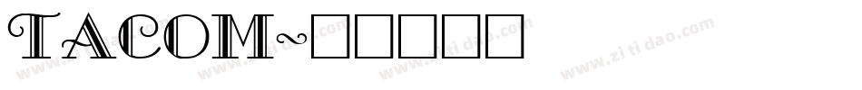 TACOM字体转换