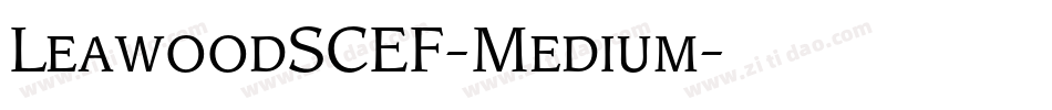 LeawoodSCEF-Medium字体转换