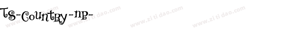 TS-Country-NP字体转换
