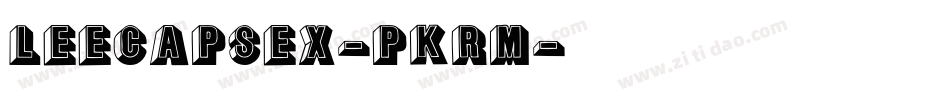 LeecapsEx-PKRm字体转换