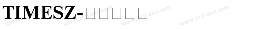 TIMESZ字体转换