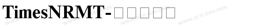 TimesNRMT字体转换