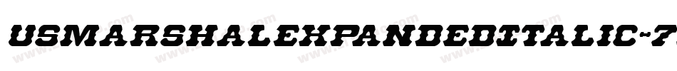 UsMarshalExpandedItalic-7ajw字体转换