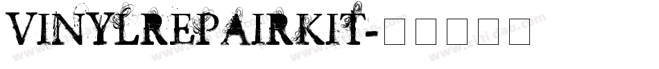 VINYLREPAIRKIT字体转换