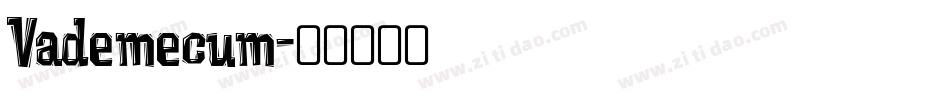Vademecum字体转换