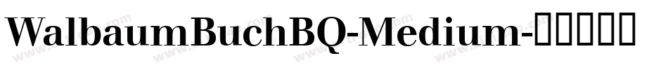 WalbaumBuchBQ-Medium字体转换