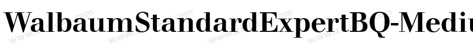 WalbaumStandardExpertBQ-Medium字体转换