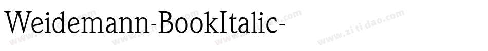 Weidemann-BookItalic字体转换