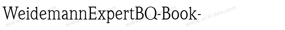 WeidemannExpertBQ-Book字体转换