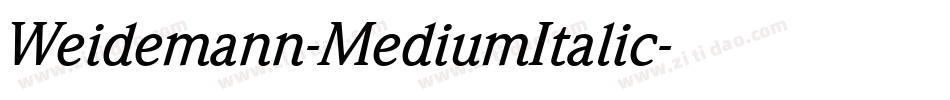 Weidemann-MediumItalic字体转换