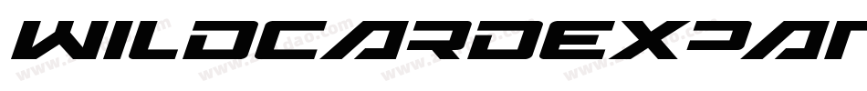 WildcardExpandedItalic-9DWn字体转换