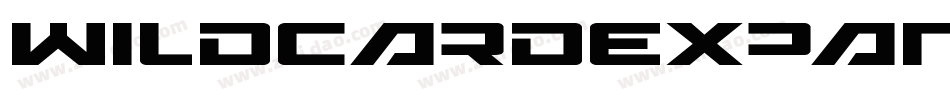 WildcardExpandedItalic-9DWn字体转换