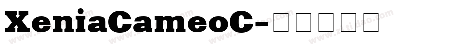 XeniaCameoC字体转换