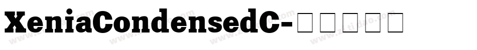 XeniaCondensedC字体转换