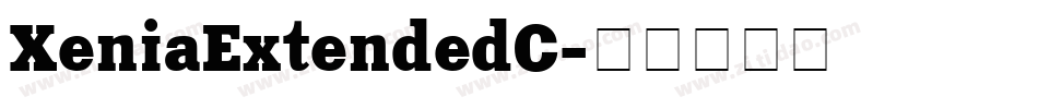 XeniaExtendedC字体转换