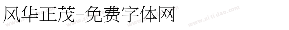 风华正茂字体转换