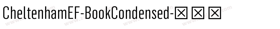 CheltenhamEF-BookCondensed字体转换