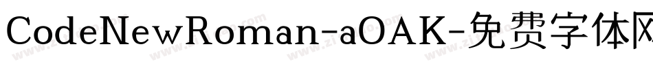 CodeNewRoman-aOAK字体转换
