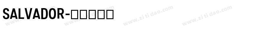 Salvador字体转换