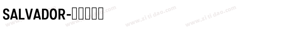 Salvador字体转换