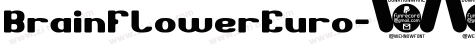 BrainFlowerEuro字体转换