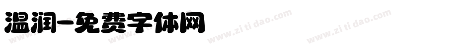 温润字体转换