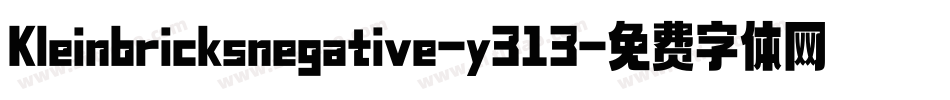 Kleinbricksnegative-y313字体转换